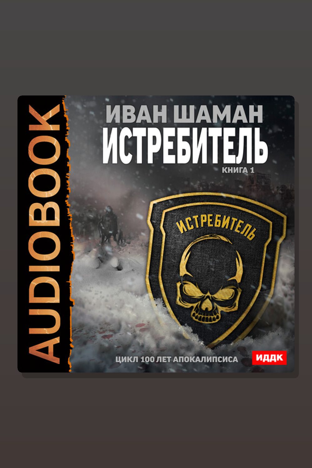 Обложка: 100 лет апокалипсиса. Истребитель. Книга 1 — Иван Шаман
