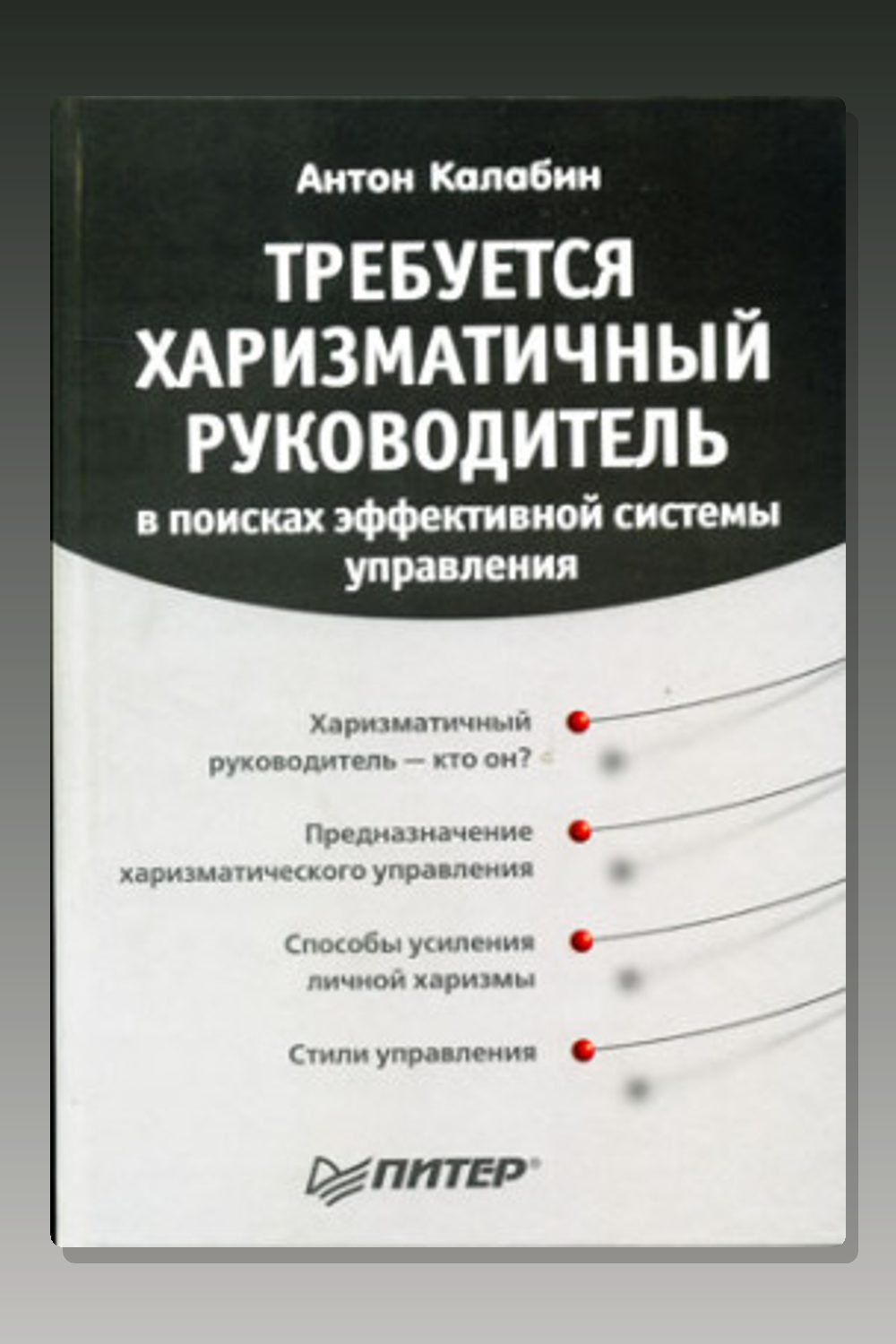 Обложка: Требуется харизматичный руководитель — Антон Калабин