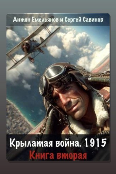 Крылатая война. 1915. Книга 2
