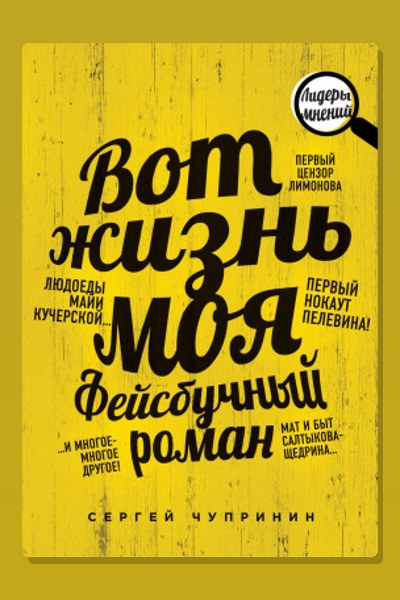 Вот жизнь моя. Фейсбучный роман