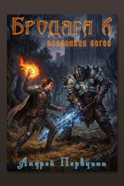 Бродяга Посланник богов
