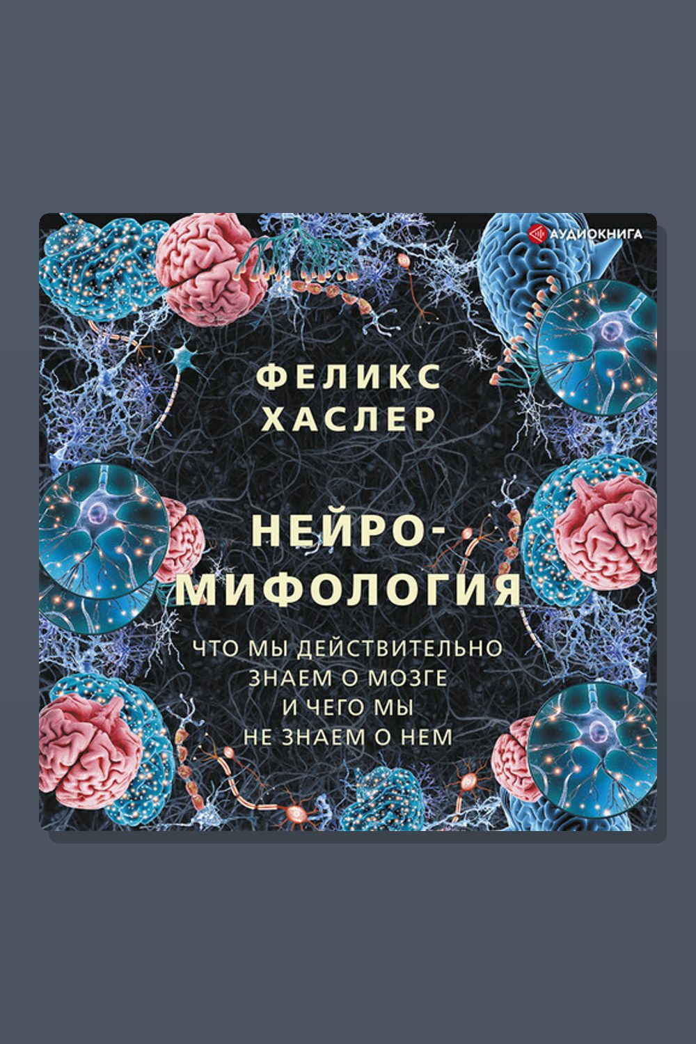 Нейромифология. Что мы действительно знаем о мозге и чего мы не знаем о нем
