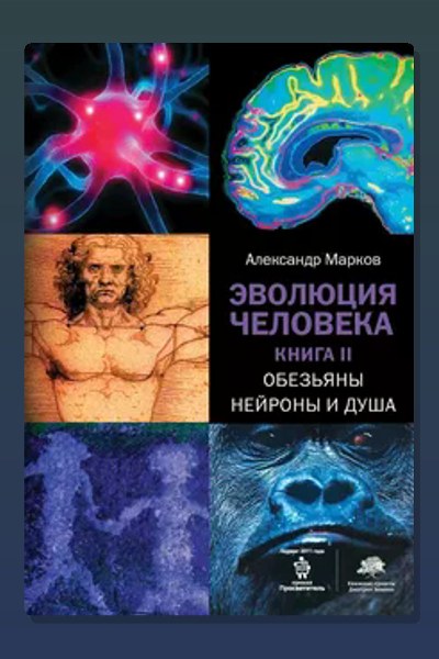 Обезьяны, нейроны и душа