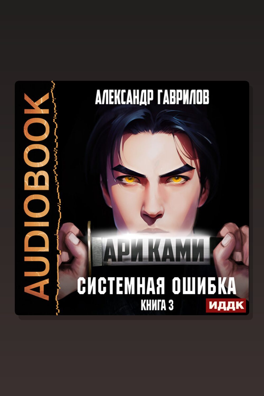 Обложка: Ари Ками. Книга 3. Системная ошибка — Александр Гаврилов